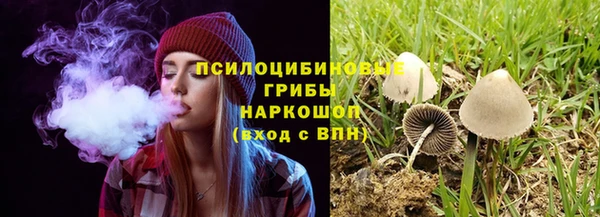 не бодяженный Абаза
