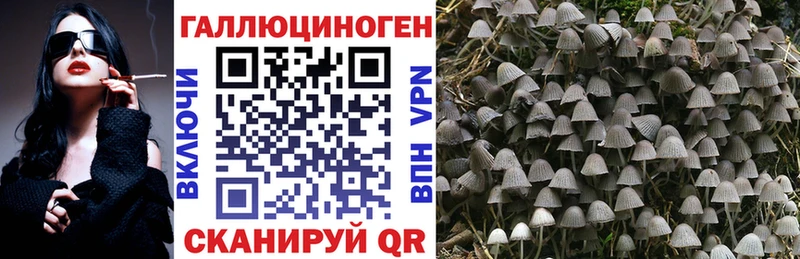 Галлюциногенные грибы Psilocybe Аксай